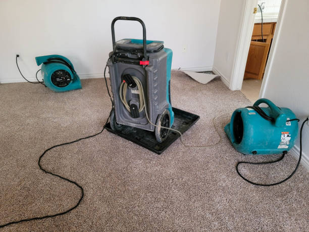 Best Flood damage cleanup  in Tracy, CA