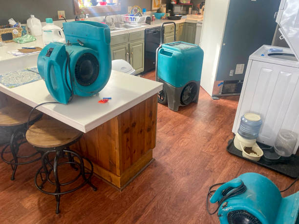  Tracy, CA Water damage restoration Pros