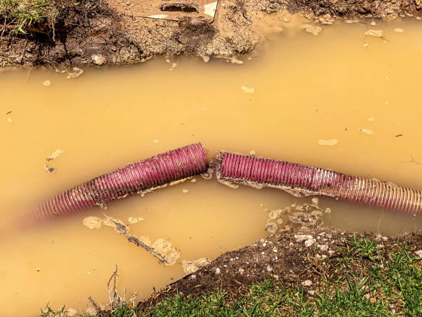 Best 24/7 water damage repair  in Tracy, CA