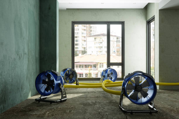 Best Basement water damage restoration  in Tracy, CA
